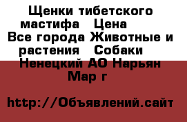 Щенки тибетского мастифа › Цена ­ 80 - Все города Животные и растения » Собаки   . Ненецкий АО,Нарьян-Мар г.